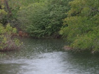 20100206 571.JPG